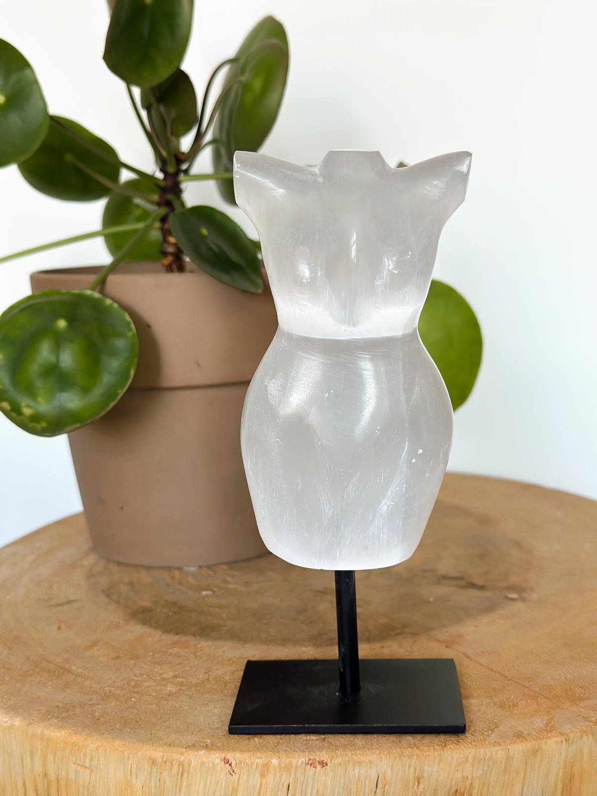 Seleniet torso - Vrouwenlichaam