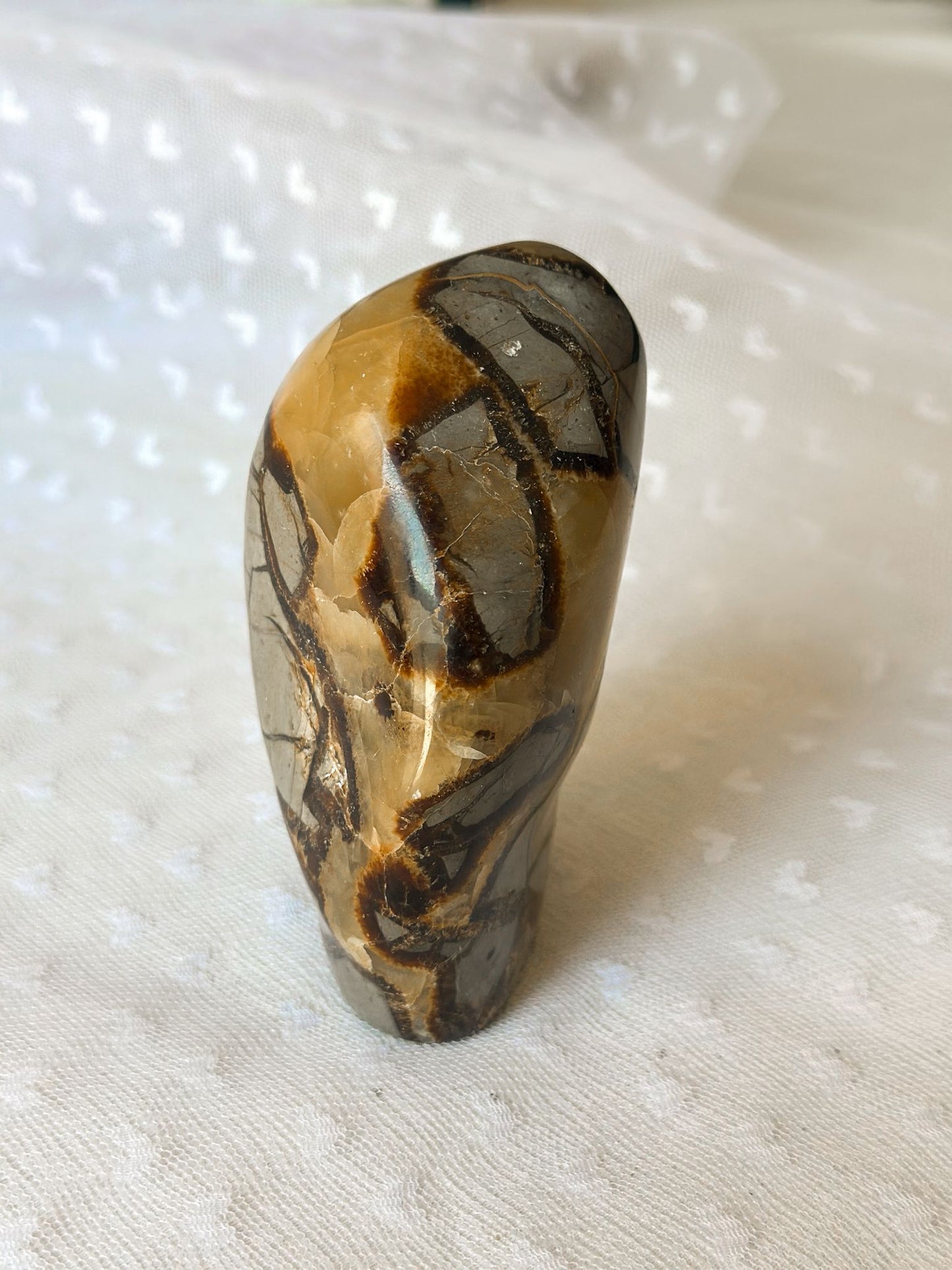 Septaria Sculptuur Nr. 2 | Oerwijsheid in Steen Gevangen