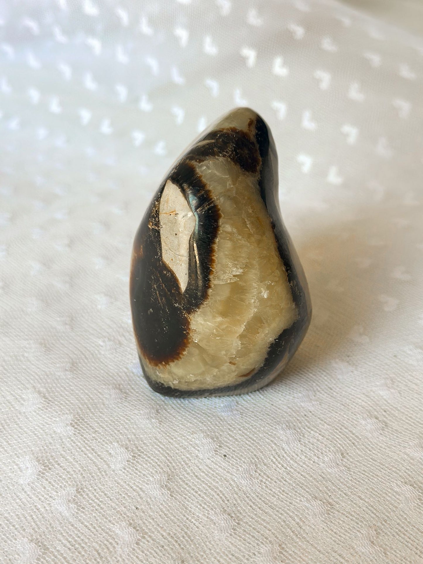Septaria Sculptuur Nr. 3 | Oerwijsheid in Steen Gevangen