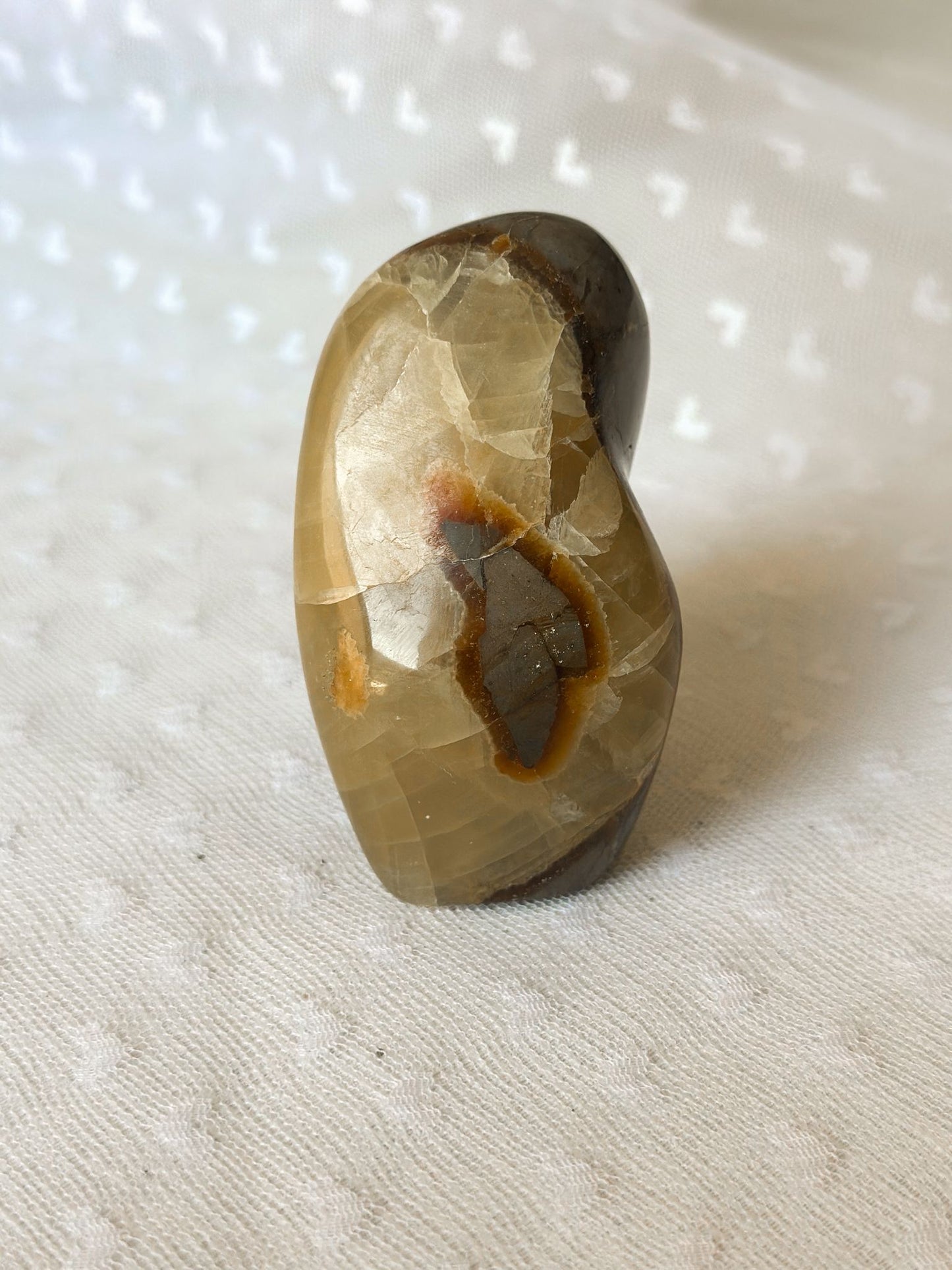 Septaria Sculptuur Nr. 4 | Oerwijsheid in Steen Gevangen