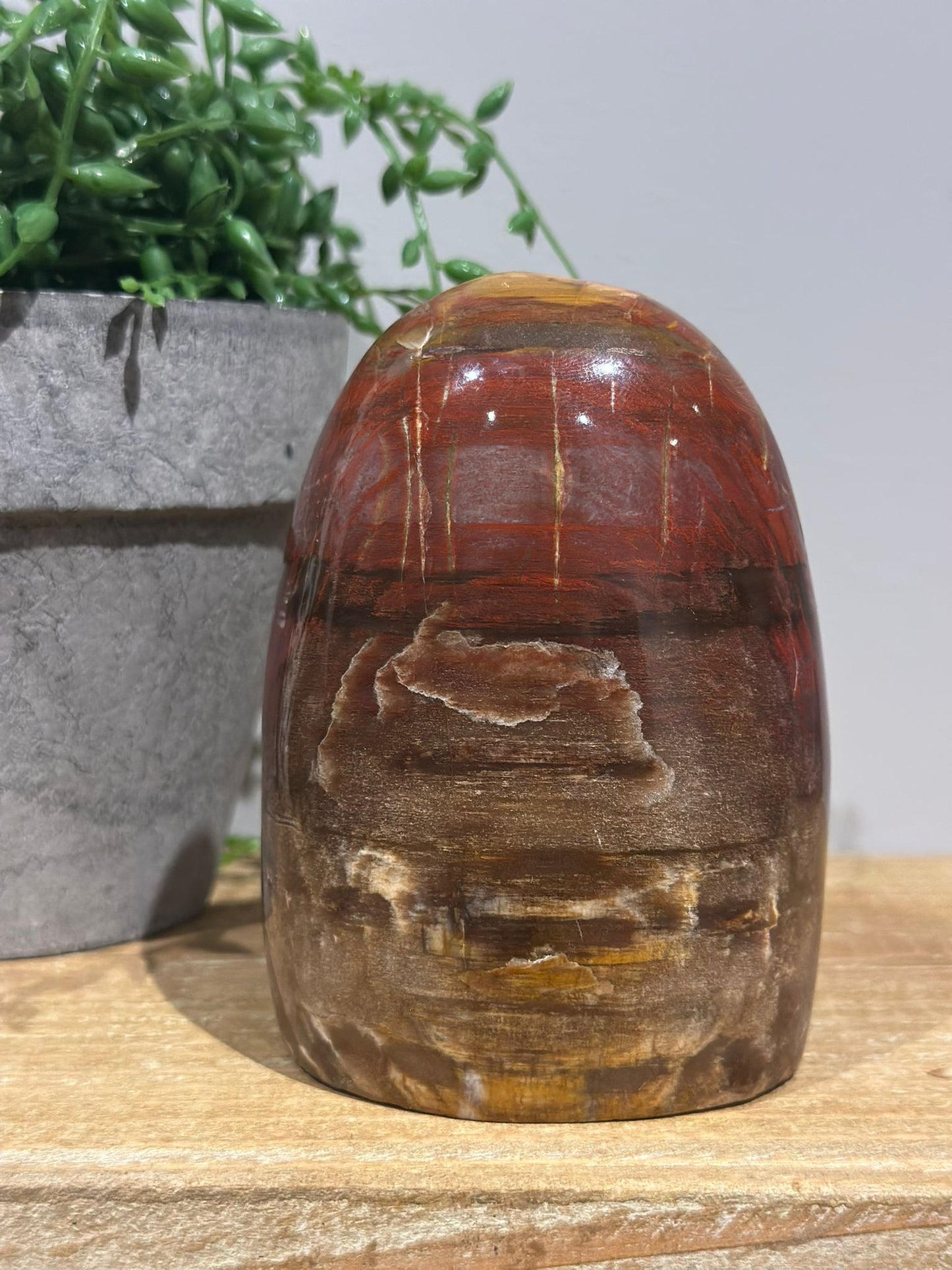 Versteend Hout Sculptuur | Nr. 2