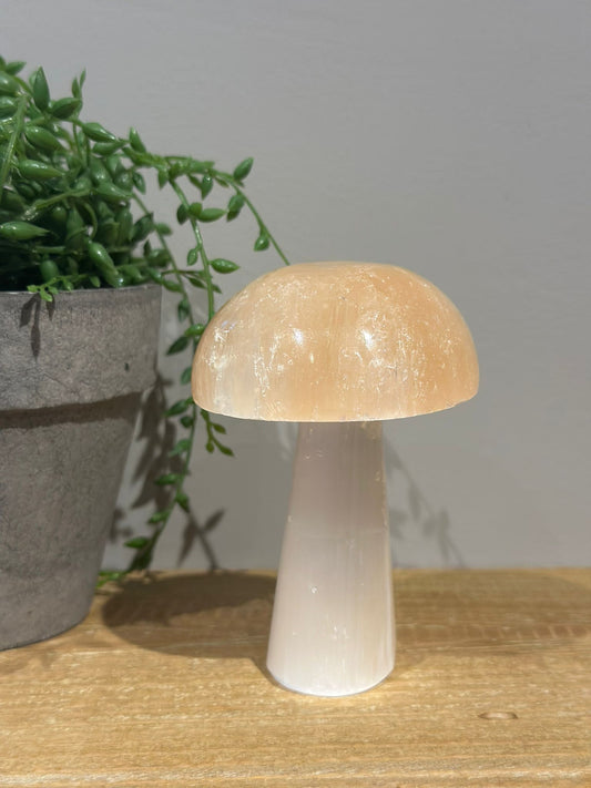 Seleniet Paddenstoel | 10 cm