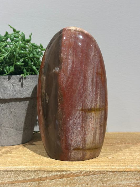 Versteend Hout Sculptuur | Nr. 1