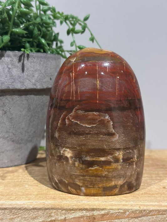 Versteend Hout Sculptuur | Nr. 2