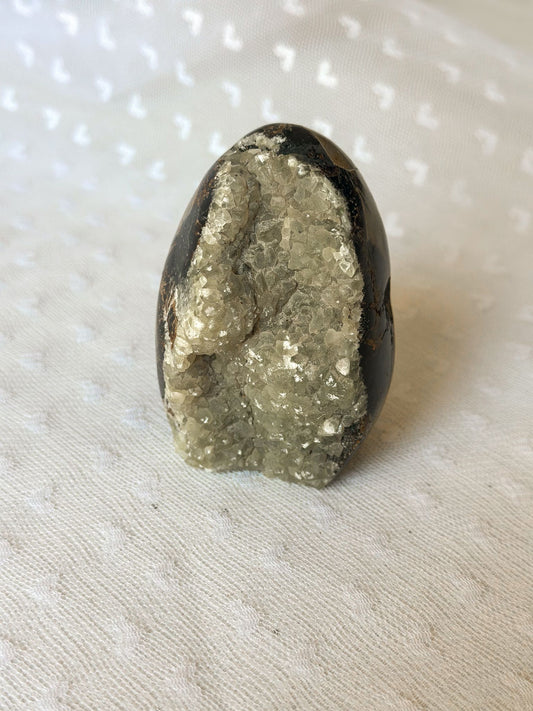 Septaria Sculptuur Nr. 1 | Oerwijsheid in Steen Gevangen